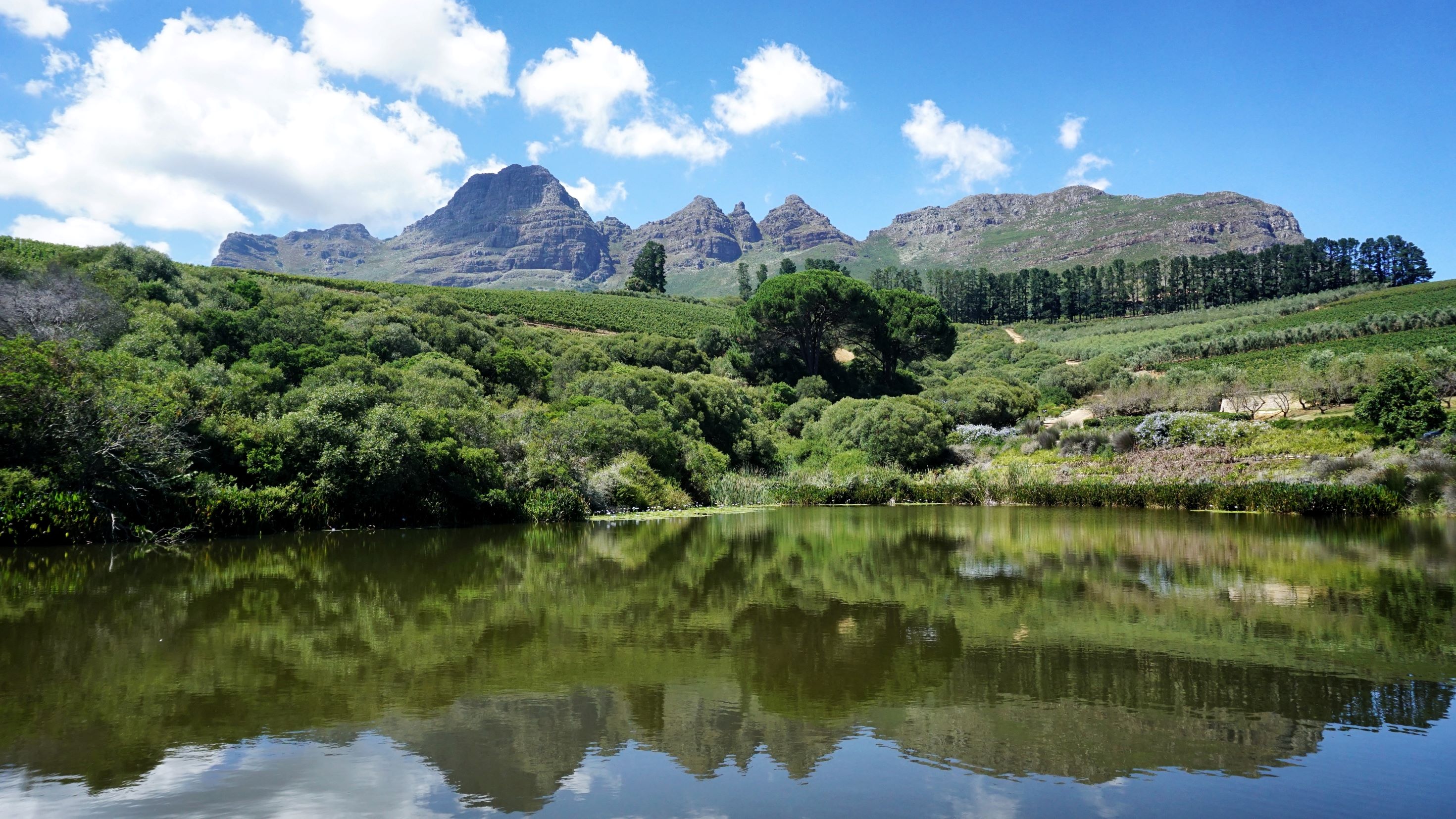 Stellenbosch